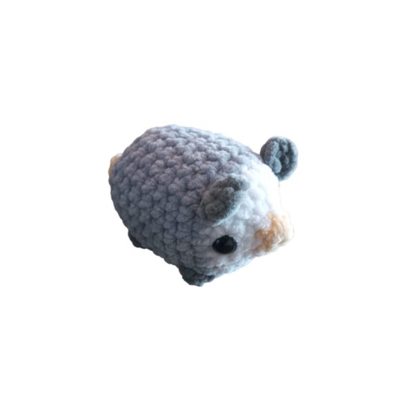 Possum baby