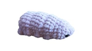 Tardigrade